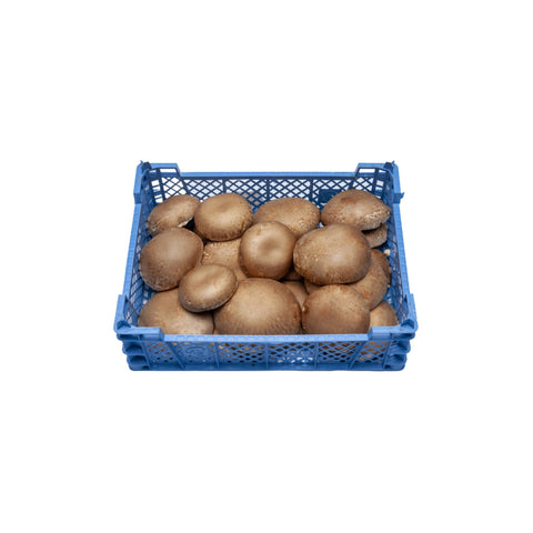 Κεχαγιά Μανιτάρια Portobello Χύμα 2 kg.